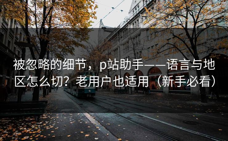 被忽略的细节,p站助手——语言与地区怎么切?老用户也适用(新手必看) 被忽略的细节,p站助手——语言与地区怎么切?老用户也适用(新手必看)