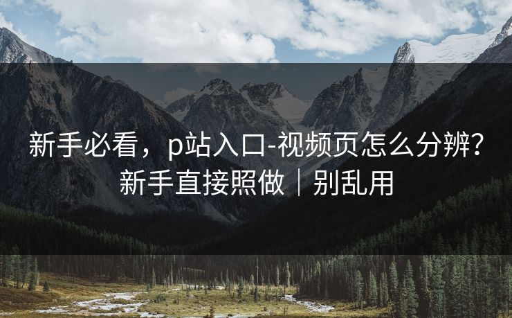 新手必看，p站入口-视频页怎么分辨？新手直接照做｜别乱用