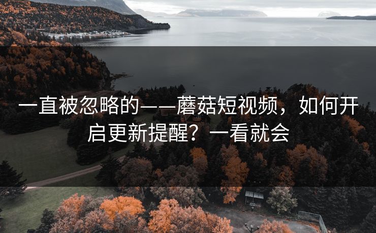 一直被忽略的——蘑菇短视频，如何开启更新提醒？一看就会