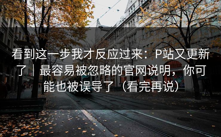 看到这一步我才反应过来：P站又更新了｜最容易被忽略的官网说明，你可能也被误导了（看完再说）