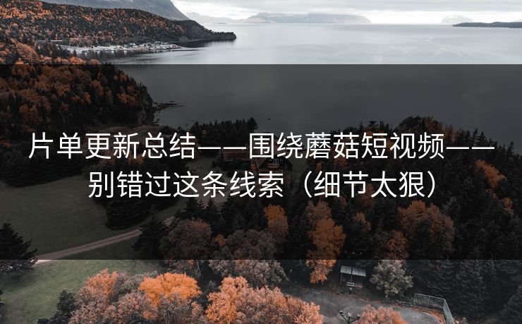 片单更新总结——围绕蘑菇短视频——别错过这条线索（细节太狠）