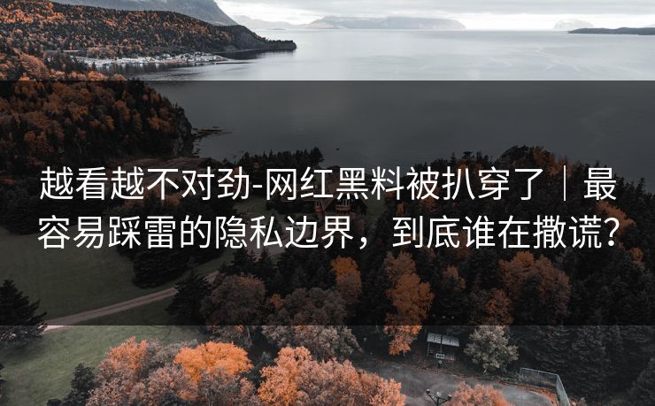 越看越不对劲-网红黑料被扒穿了｜最容易踩雷的隐私边界，到底谁在撒谎？