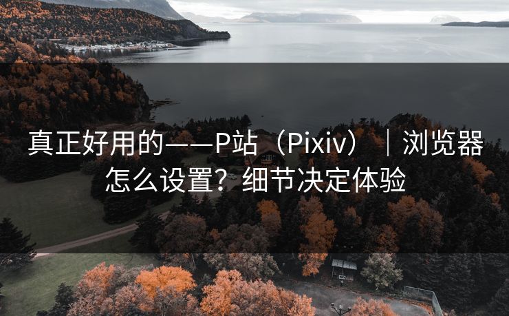 真正好用的——P站（Pixiv）｜浏览器怎么设置？细节决定体验