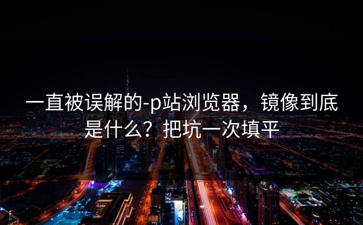 一直被误解的-p站浏览器，镜像到底是什么？把坑一次填平